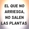 EL QUE NO ARRIESGA, NO SALEN LAS PLANTAS