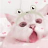 Cute Cat 6