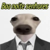 Boa noite senhores