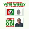 WHEN YOU HEAR VOTE WISELY THIS IS WHAT IT MEANS F FORWARD EVER ✓ VOTE PETER OBI FOR PRESIDENT A W E S