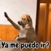 Ya me puedo ir?