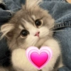 Gatitos 🥰 5