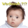 Waduuuh ?!?