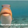 Oyes pero por k pasó eso o k