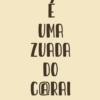 RESENHA DO ARROCHA 6