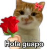 @Harley Stickers Hola guapo