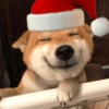 Perritos Navideños (Stickers) 8