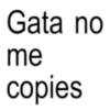 Gata no me copies