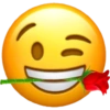 Emoji iPhone  11