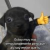 Estoy muy mal emocionalmente pero aun así soy mejor que tú
