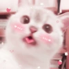 4111
