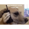 Pero quienes están o que jaja