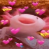 💕💖💘Falling  In  Love💘💖💕 5