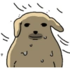 Nudaeng dog meme 7