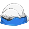 Cute dog 🤍🦴🏠 Perro Blanco 5