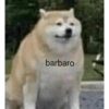 barbaro