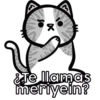 Κ ¿Te llamas meriyein?