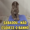 SABADOU...NÃO ESQUECE O BANHO