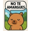 NO TE AMARGUES