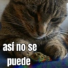así no se puede