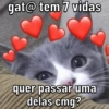 gat@ tem 7 vidas
quer passar uma
delas cmg?