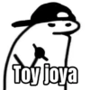 Toy loya