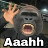 Geysioy O Aaahh