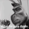 achei foi paia doido