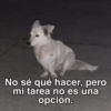 No sé qué hacer, pero
mi tarea no es una
opción.