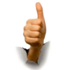 Positivo 29