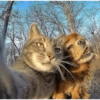 Selfie gatitos 😛 6