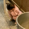 Anak kecil 12