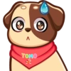 Λ TOMO