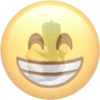 Emoji iPhone  23