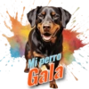 Mi perro Gala
