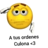 @americaa .tenorio A tus ordenes Culona <3
