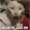 NGANTUK JUGA SIH
