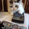 ⋆🐾 gatos tristes ᓚ₍ ^•⁠ ⁠ᴥ •^₎ 12