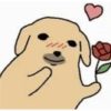 Nudaeng dog meme 14