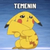 TEMENIN