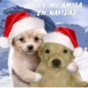 YO Y MI AMIGA EN NAVIDAD