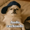 Ando cachondo