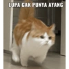 LUPA GAK PUNYA AYANG