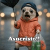 Asucristo!! RR TERR