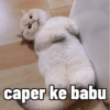 caper ke babu