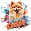 Mi perro Gaston