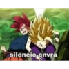 silencio envra