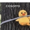 A um passo de surtar 🫨 13