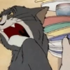 Tom 30