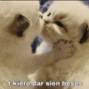 t kiero dar sien besos